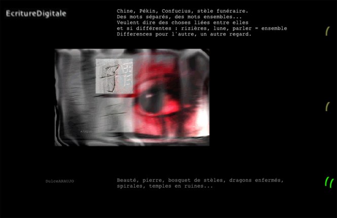 Imagem: Dulce Araujo